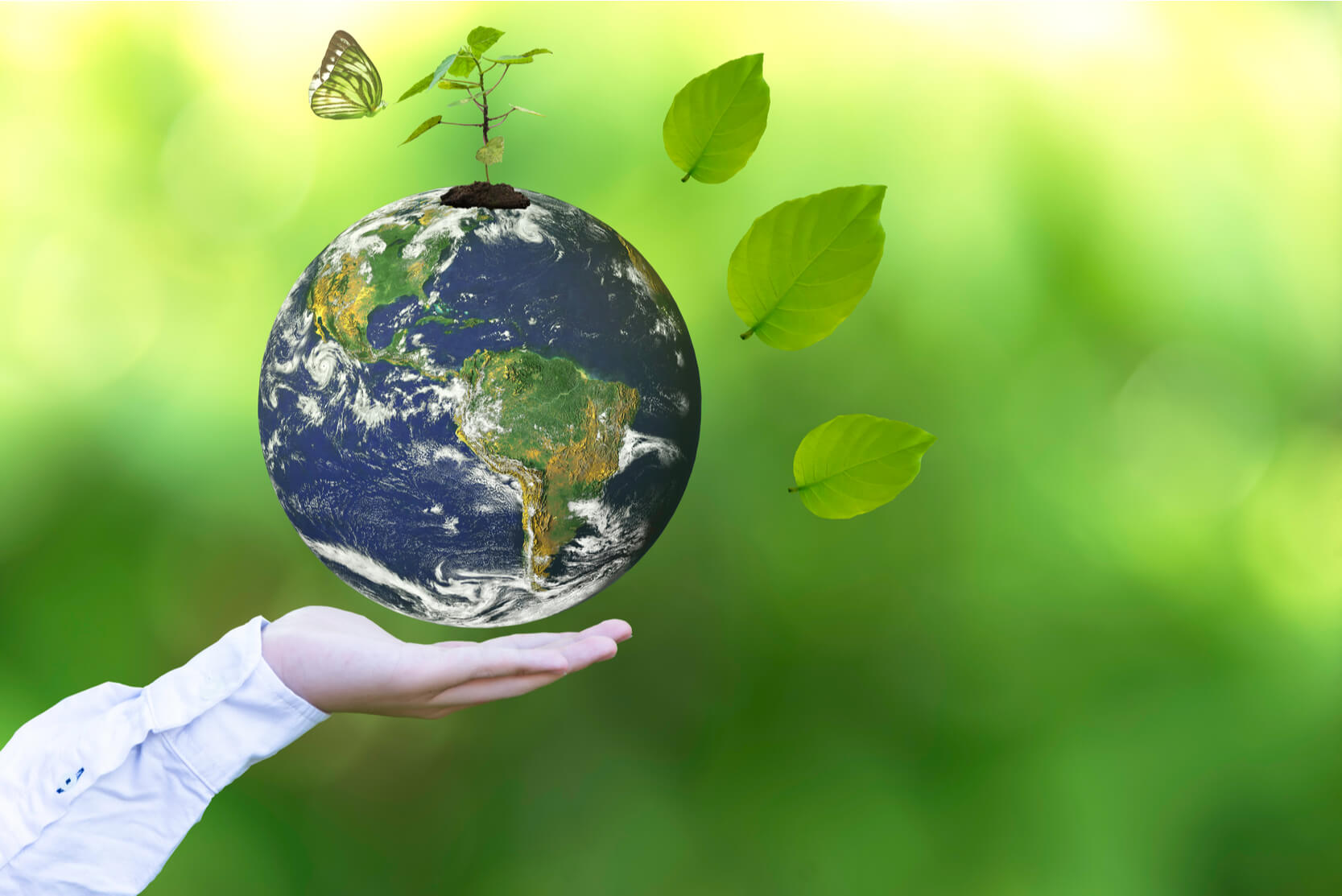 Sustainability Consulting